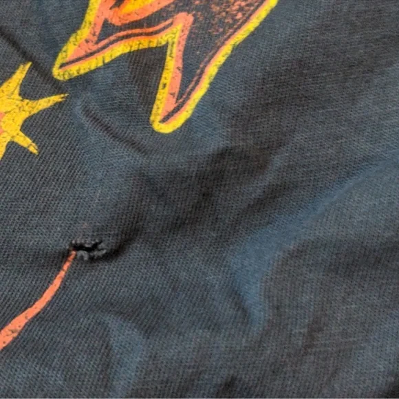 Daydreamer x Free People Untamed V-Neck Leopard Graphic Tee - Picture 7 of 7